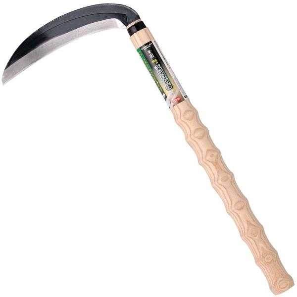 ؉ EFCr[Obv   #144001