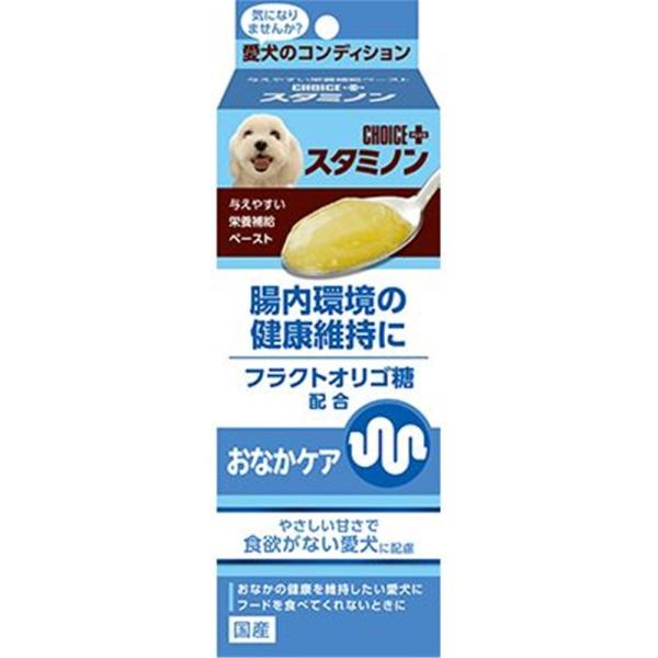 A[XEybg X^~mvX ̌Nێ 40gyph{⊮Hz