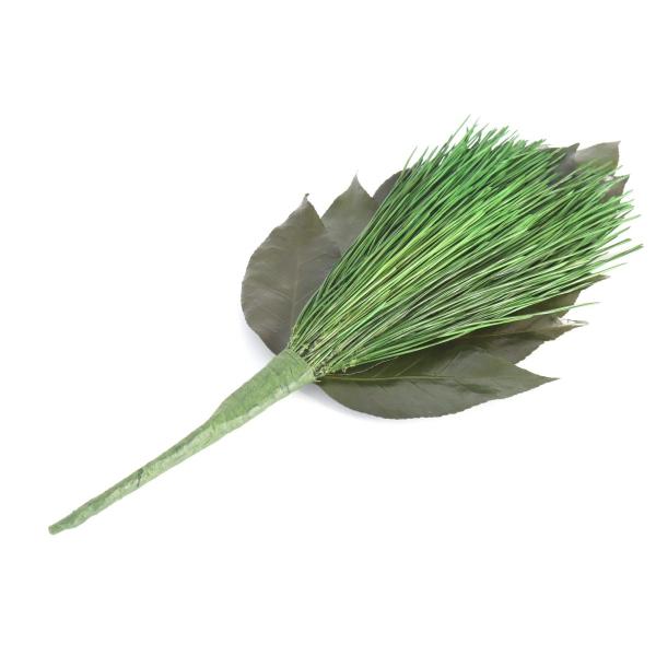  Ԃł͂ȂVR̗t vU[uhO r_ ꑩ _I _ r_I  Y