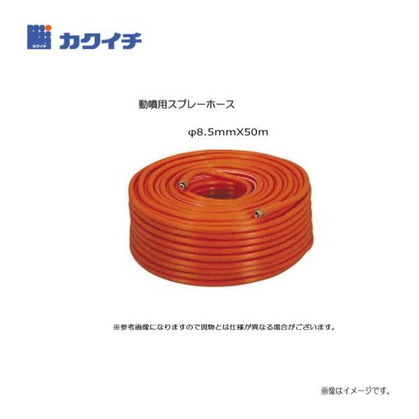 JNC` pXv[z[X 8.5X50 [tlWG1/4]