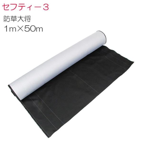 ZteB[3 hV[g h叫 1m×50m ό10N DꂽŐ͂Q