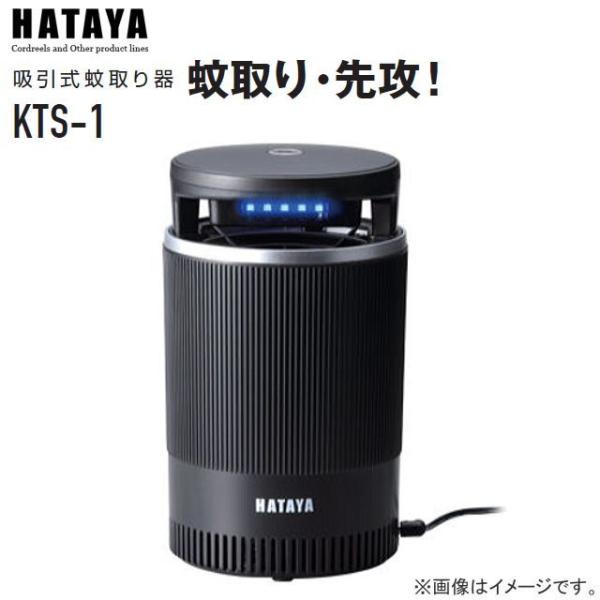 n^ z EUI KTS-1 UVŉ⒎Uzŋ쏜܂ HATAYA