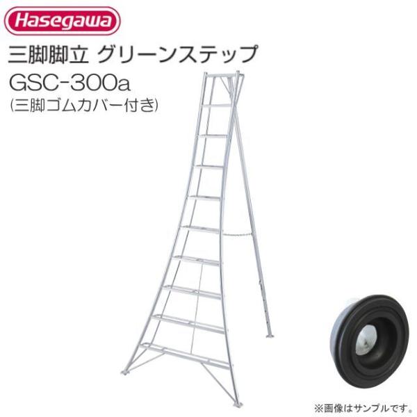 JH A~Orr O[Xebv GSC-300a OrSJo[t 10 10i V:3.01m/L2.11m/10.2kg