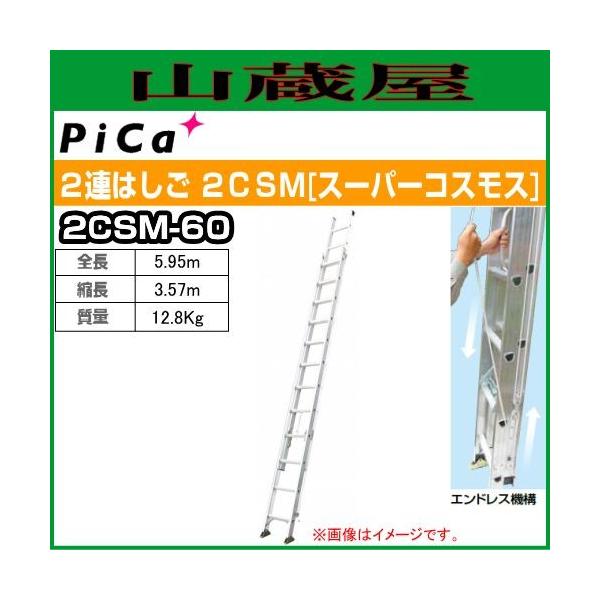 sJ(pica) QA͂ X[p[RXX 2CSM-60 S 5.95m/k 3.57m