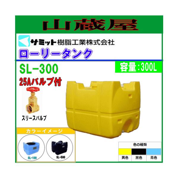 }[T (T~bg)  [[^N 300L SL-300[25Aout]/[llzs]