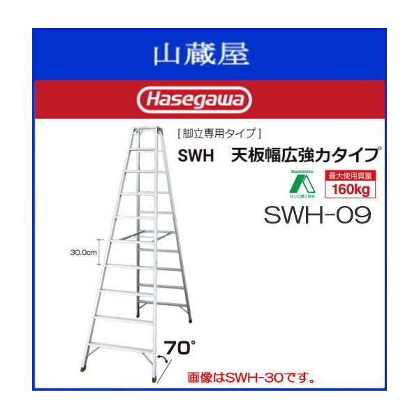 長谷川工業 [ 脚立専用タイプ   天板幅広強力タイプ  天板高