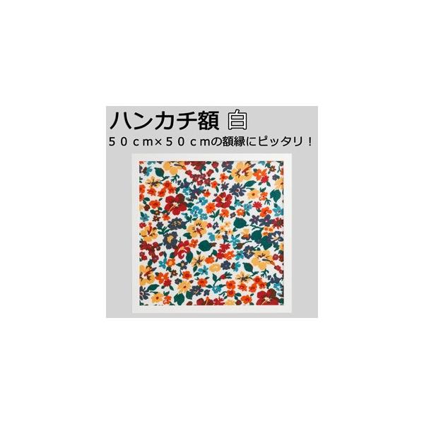 z nJ`z J[^Cv  zCg O500×500mm ` ؐt[ Ǌ|t[