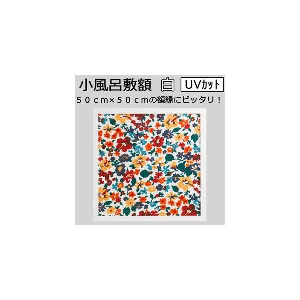 z C~z J[^Cv  zCg UVJbg ANdl O500×500mm ` ؐt[ Ǌ|t[