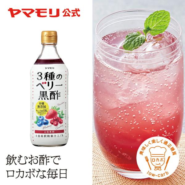 ヤマモリ お酢飲料の人気商品・通販・価格比較 - 価格.com ヤマモリ お酢飲料の人気商品・通販・価格比較 - 価格.com