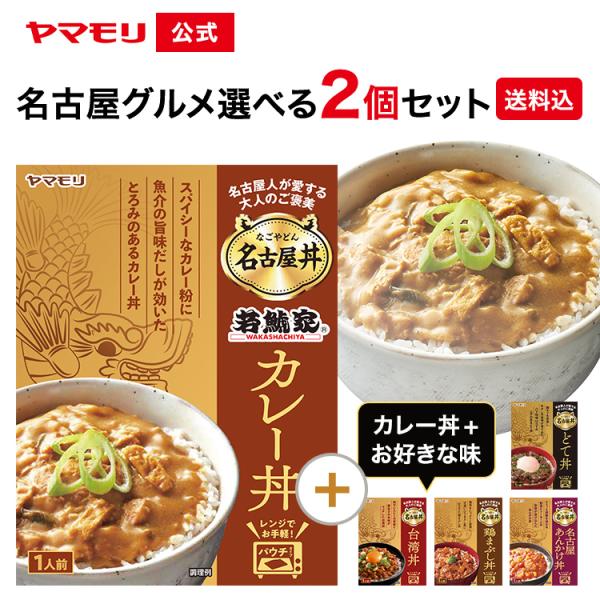若鯱家　丼ぶり　記念品 ヤマモリ 名古屋 若鯱家カレー丼 × お好きな名古屋丼 選べる2個セット