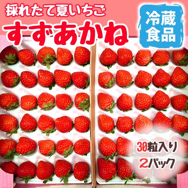 夏いちご すずあかね 山元町産 30粒 2パック 配送地域関東以北限定 Y10132 やまもといちご 通販 Yahoo ショッピング