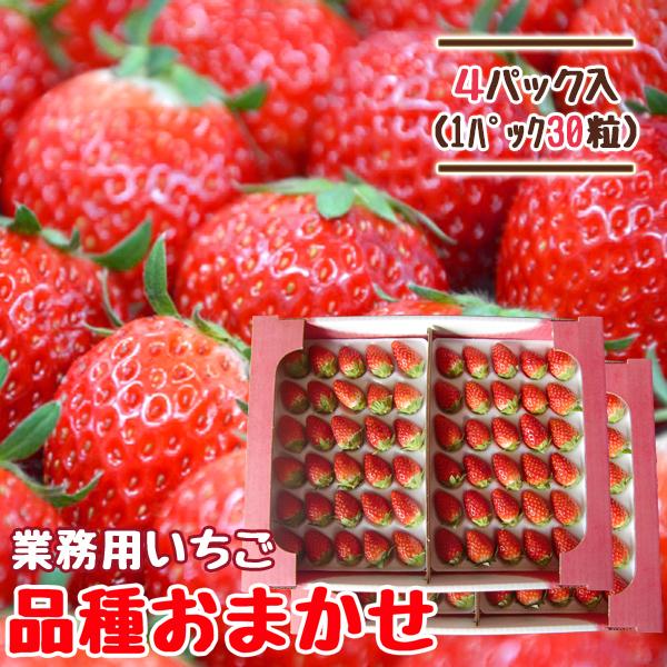 【※同梱不可商品です※】【※10,000円以上送料無料条件の対象外です※】“いちご王国”として知られる宮城県山元町で育った、山元いちご農園の完熟いちごです。ハウスでたっぷりと太陽を浴び、ヘタの近くまで真っ赤に色づいたものだけを朝摘みし、その...