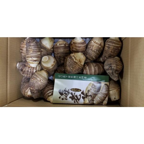 商品名：海老芋産地：山口県内容量：1kg保存方法：10度以下で保存