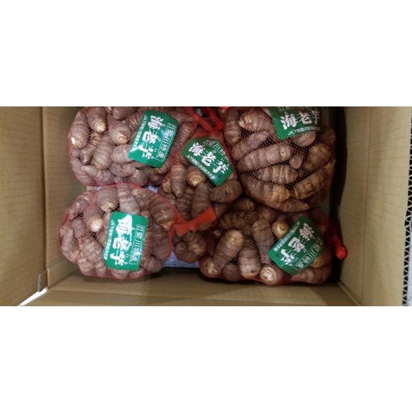 商品名：海老芋小　1kg産地：山口県内容量：1kg