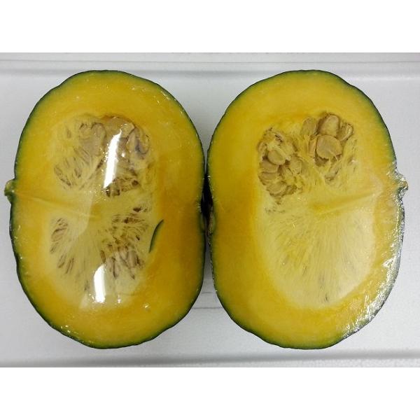 【商品名】かぼちゃ　【産　地】鹿児島県【内容量】１玉　 【保存方法】１０度以下の涼しい場所で保存【賞味期限】生ものですのでお早めにお召し上がりください