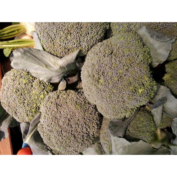 商品名：ブロッコリー産地：福岡県産内容量：300g保存方法：１０度以下の涼しい場所で保存賞味期限：生ものですのでお早めにお召し上がりください