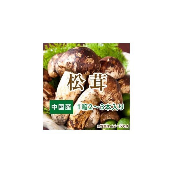 松茸 １箱 中国産 2-3本入り