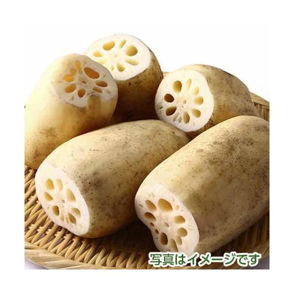 産地：佐賀県内容量：2kg保存方法：10度以下で保存沖縄、北海道地方は追加送料がかかります。