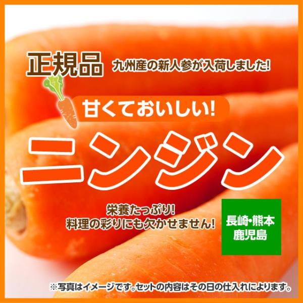 商品名：人参産地：長崎・熊本・鹿児島産内容量：１ｋｇ保存方法：１０度以下の涼しい場所で保存賞味期限：生ものですのでお早めにお召し上がりください