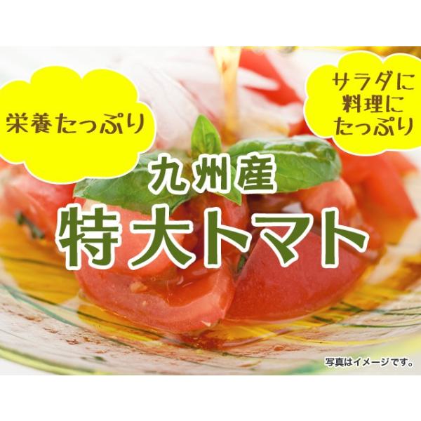 商品名：とまと産地：大分県産・熊本県産・鹿児島県産内容量：４ｋｇ保存方法：１０度以下の涼しい場所で保存賞味期限：生ものですのでお早めにお召し上がりください