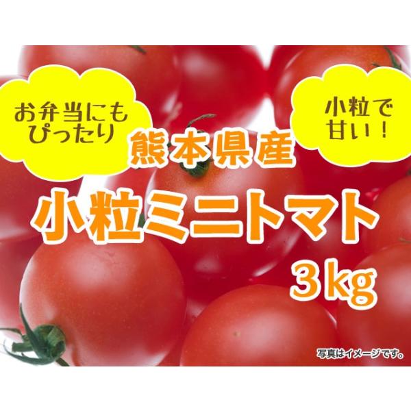 熊本県産】新鮮 フレッシュ トマト 約20kg 家庭用 訳アリ品