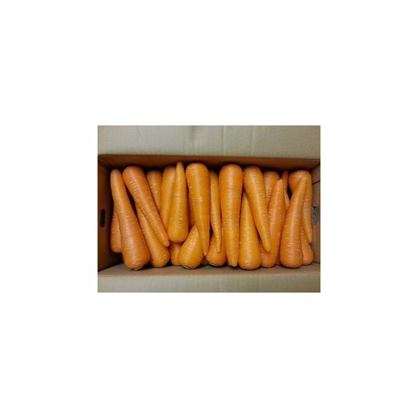 商品名：人参産地：九州産内容量：１０ｋｇ保存方法：１０度以下の涼しい場所で保存賞味期限：生ものですのでお早めにお召し上がりください北海道、東北、沖縄県は追加送料がかかります。