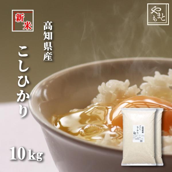 お米 新米 令和8年 高知県産こしひかり10kg（5kg×2袋） コシヒカリ 北海道沖縄離島は追加送料
