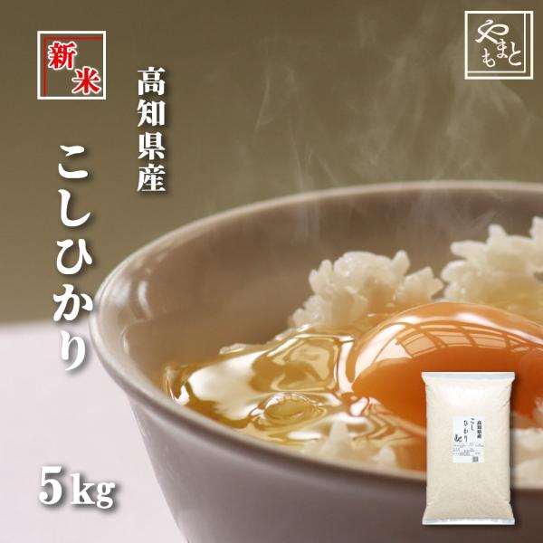 お米 新米 送料無料 令和6年 高知県産こしひかり5kg(5kg×1袋 お米 新米 送料無料 令和6年 高知県産こしひかり5kg(5kg×1袋