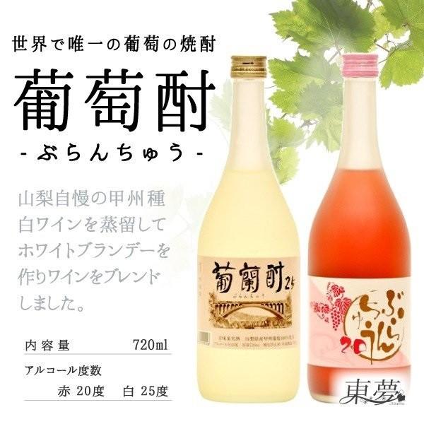 ブランデー ワイン 国産 東夢 ワインの焼酎（葡萄酎25白 ぶらんちゅう