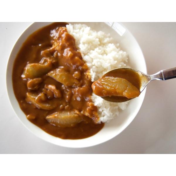 レトルトカレー ご当地 果物 金賞受賞 桃農家の桃カレー 中辛 フルーツ Buyee Buyee Japanese Proxy Service Buy From Japan Bot Online