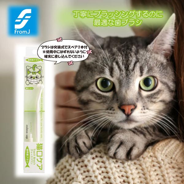 他サイト： 猫口ケア ティースブラシ  ペット用品 ネコちゃん 猫用 動物 歯磨き 歯石除去 歯垢除去の商品画像