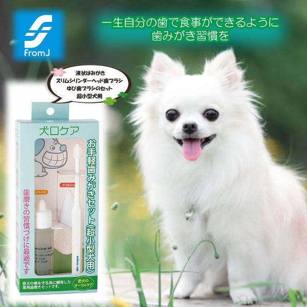 新品未使用】犬口ケアお手軽歯みがきセット81個