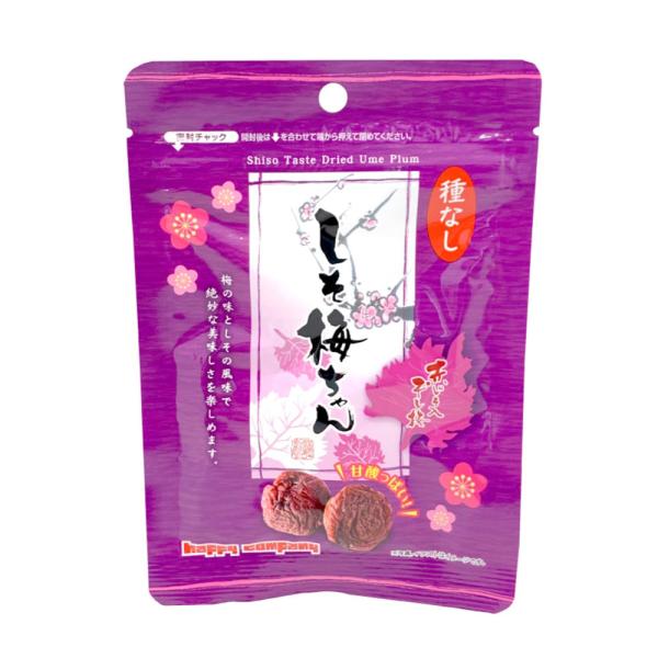 yamanashi-online_fumm-21s02