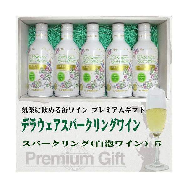 ʃC CMtg XʃC fEFA Xp[NO 290ml×5  f