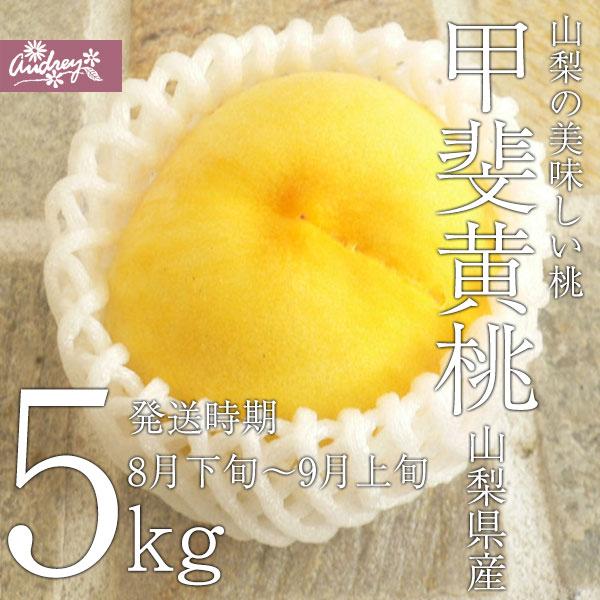 桃 山梨の桃 家庭用 5kg箱2枚 もも 山梨の桃 5kg