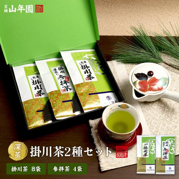 お茶 日本茶 煎茶 参拝茶100g×4袋+掛川深蒸し茶100g×8袋セット 送料無料