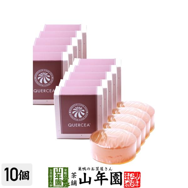 固形石鹸 ケルセチン石鹸 10個セット 送料無料 玉ねぎ 皮 根エキス たまねぎ お茶 皮膚 アトピー 送料無料 内祝い アトピー お返し 洗顔 お茶 19ギフト プレゼント 19 Wi Kerusetinsekken 10p 巣鴨のお茶屋さん山年園 超激安が実現