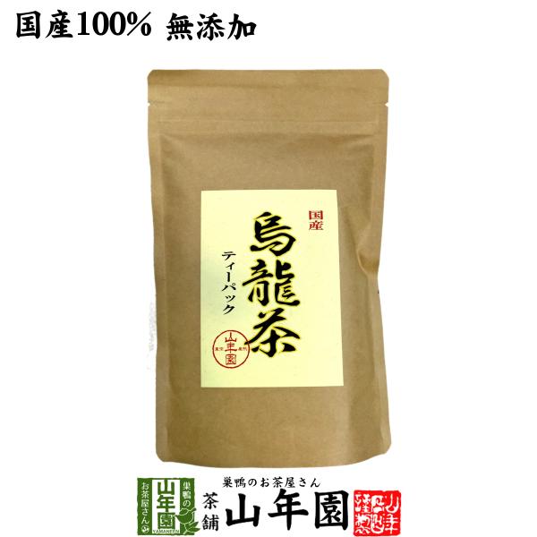 健康茶 国産100% 烏龍茶 ウーロン茶 ティーパック 2.5g×24パック 無添加 送料無料ギフト 国産 日本茶 茶葉 緑茶 煎茶 送料無料 お茶 お歳暮 御歳暮 2025 ギフト プレゼント 内祝い お返し 贈り物 土産 贈答 【関連検...