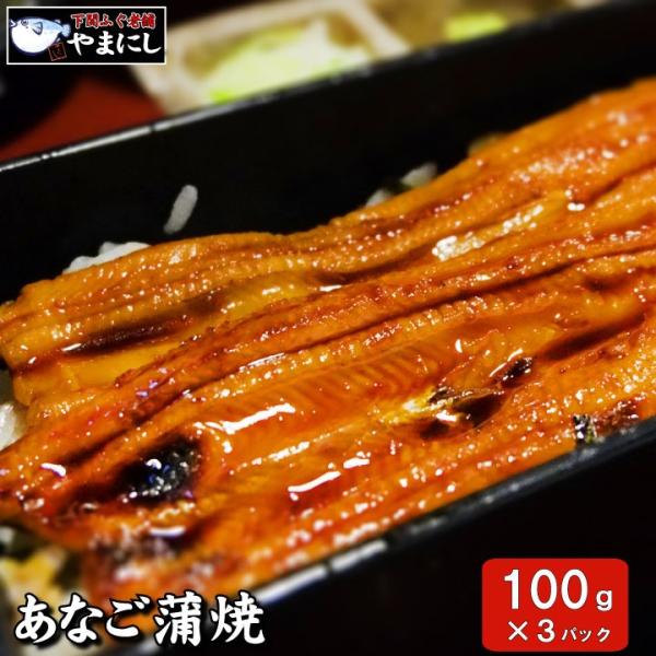 あなご アナゴ 穴子  ギフトにも！ 下関産 あなごの蒲焼100g×3パック タレ付 小分けでお買い得