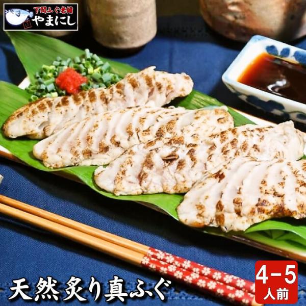 ӂ tO Ε N Mtg VRt^ӂTlOEXCX