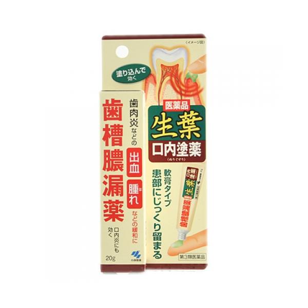 【第3類医薬品】小林製薬　生葉口内塗薬　20g