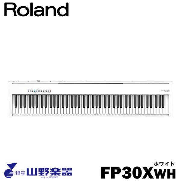 Roland dqsAm FP-30X-WH / zCg