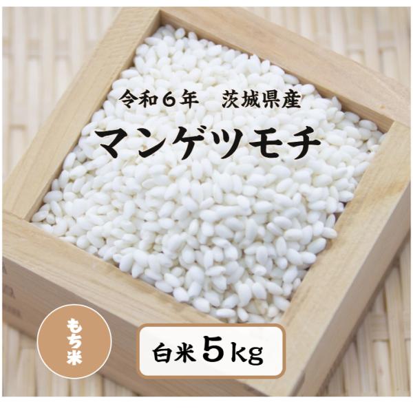 もち米 5kg「6年茨城県産 マンゲツモチ 白米5kg」送料無料 もち米 5kg「6年茨城県産 マンゲツモチ 白米5kg」送料無料