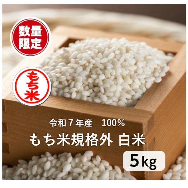 もち米 5kg「7年産 もち米規格外 白米5kg」数量限定 訳あり 送料無料