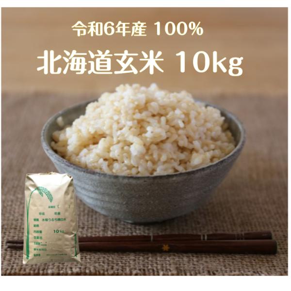 玄米 10kg「北海道 規格外 玄米10kg」１人１個限り 送料無料　こつぶ　玄米