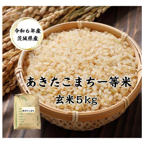 玄米 5kg「５年産 茨城 あきたこまち 一等米 玄米 5kg」送料無料