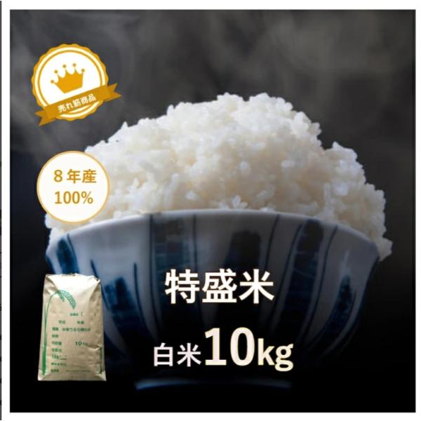 米 10kg 「8年産 特盛米 白米 10kg」【8年産】【精米】【白米】【北海道産】【規格外】【こつぶ】【送料無料】