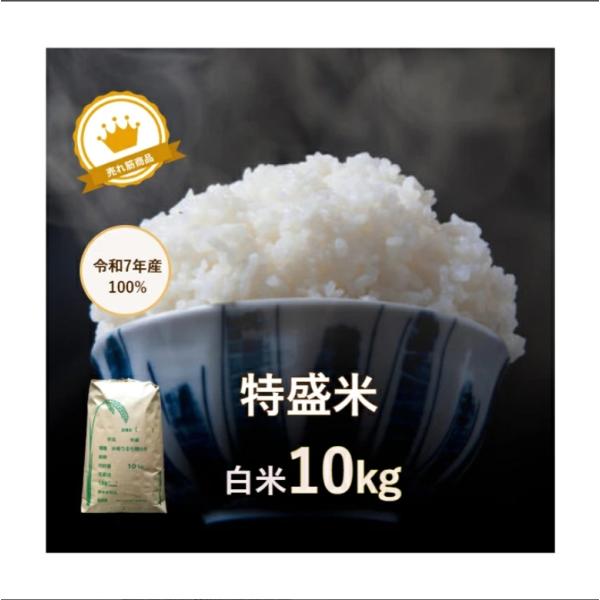米 10kg「7年産 特盛米 白米１０kg」【1人1袋限り】【送料無料】【訳あり】【国内産】【7年産】【精米】【白米】【ノークレームノーリターン】