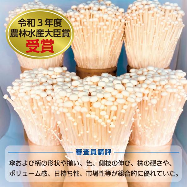 　商品名：えのきたけ８袋入り/約３kg/箱　   原産地：長野県長野市※個包装のデザインが写真と異なることががございますので、ご了承ください。「えのきたけ」にはＧＡＢＡが含まれます。ＧＡＢＡには血圧が高めの方の血圧を下げる機能があることが報...