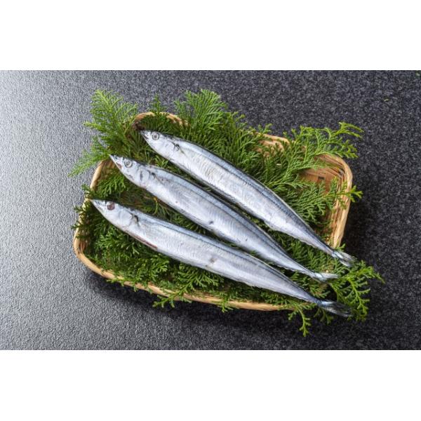 さんま丸干 ソフト 旨味凝縮 酒の肴 おつまみ さんま 干物 かご Www Pn Mungkid Go Id Index Php